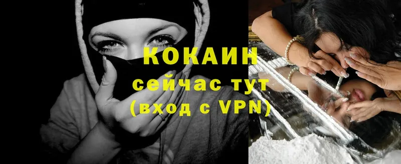 Cocaine Эквадор  купить закладку  Карасук 